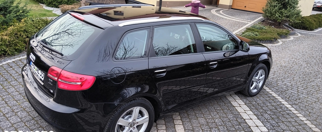 Audi A3 cena 25900 przebieg: 197258, rok produkcji 2009 z Kętrzyn małe 301
